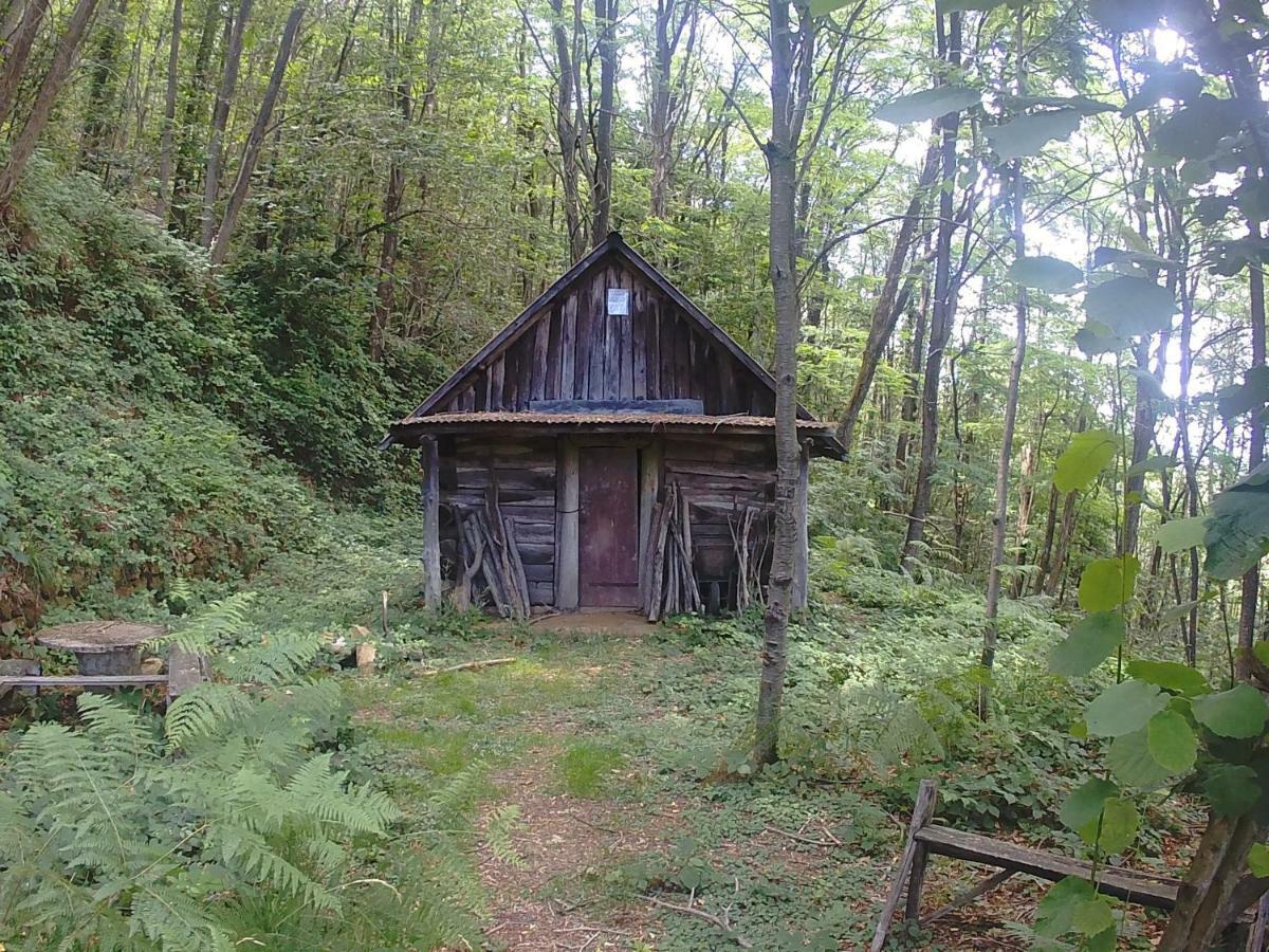 La Cantina Del Sole Ricco del Golfo di Spezia Luaran gambar